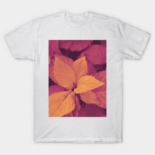 Photo of leaves in a hot orange gradient T-Shirt